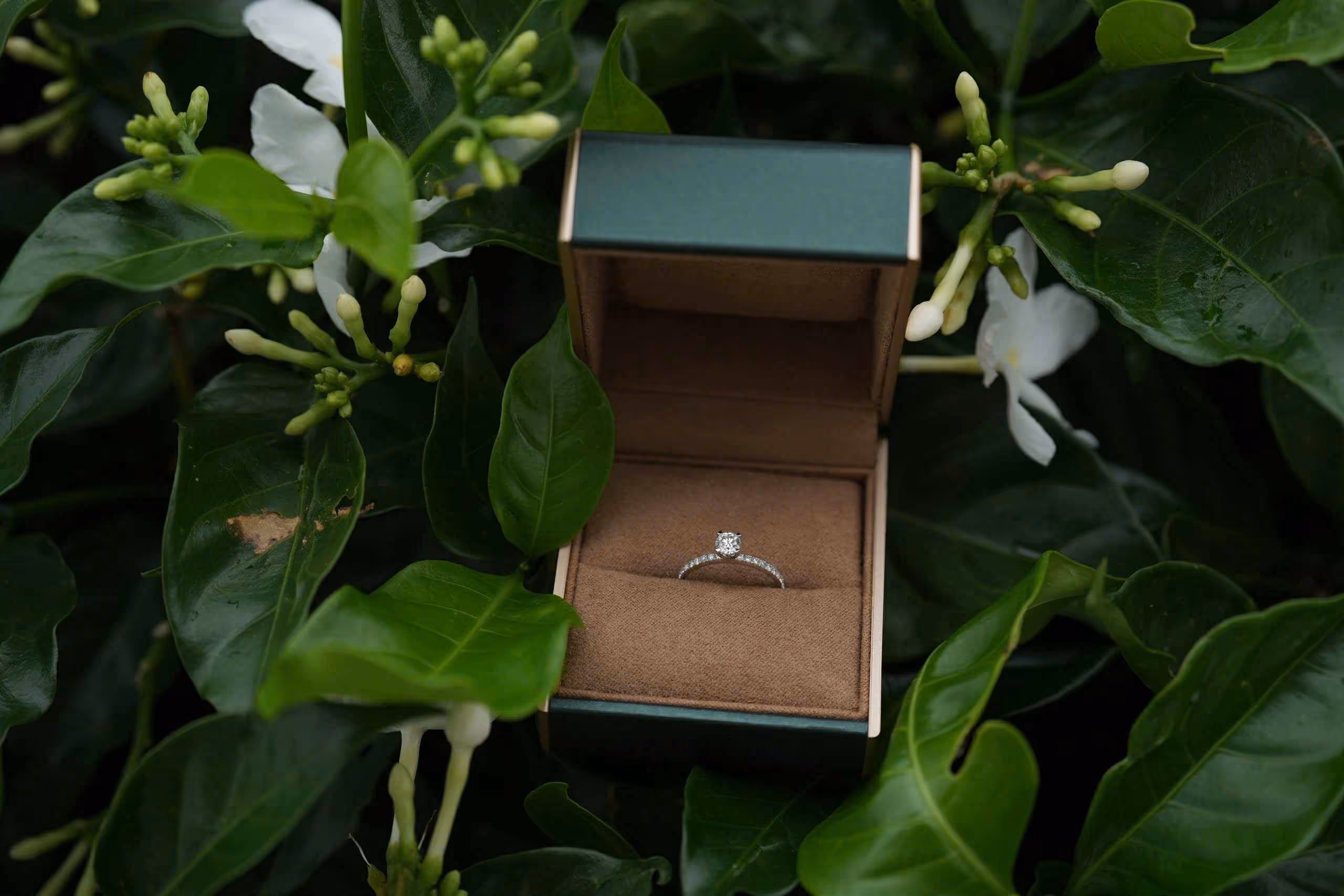 Ảnh Feedback khách hàng mua nhẫn của Lucy Bui Diamond - 29